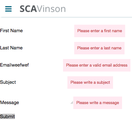 The form showing error messages for each of the fields