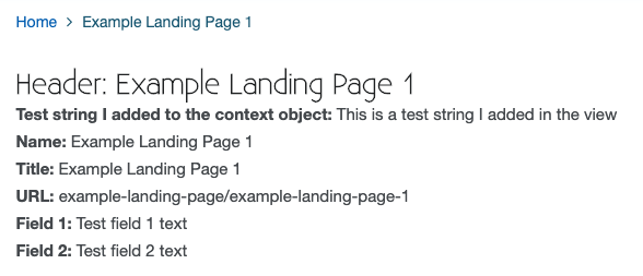 A screenshot of a web store showing an instance of a newly created example custom landing page.