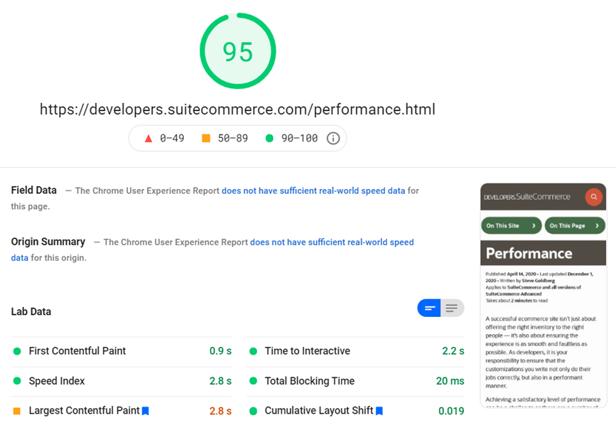 A screenshot of a test result for the developer portal from PageSpeed Insights