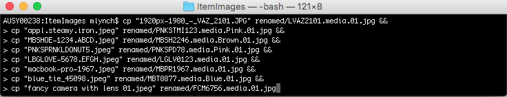 A screenshot of the Mac Terminal. It shows the output from running the renaming command.