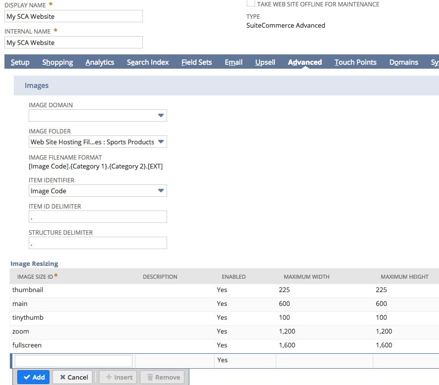 A screenshot of the NetSuite application. It shows the website setup record page on the 'Advanced' tab.